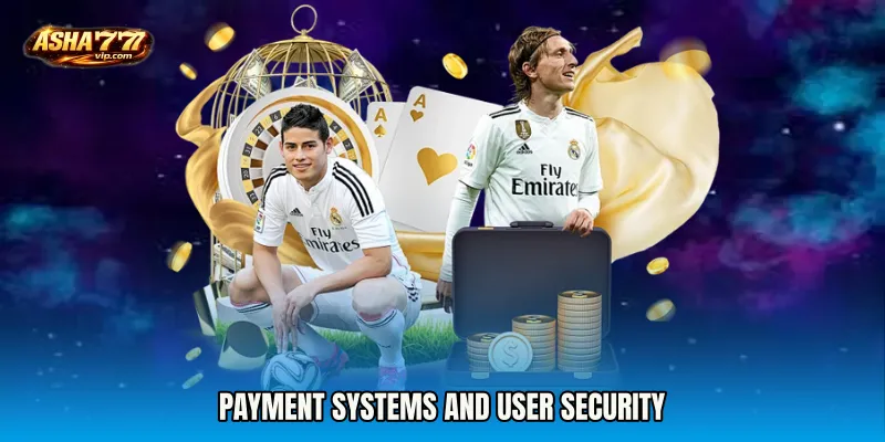 Payment Systems and User Security